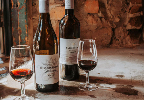 Cape Winelands photo