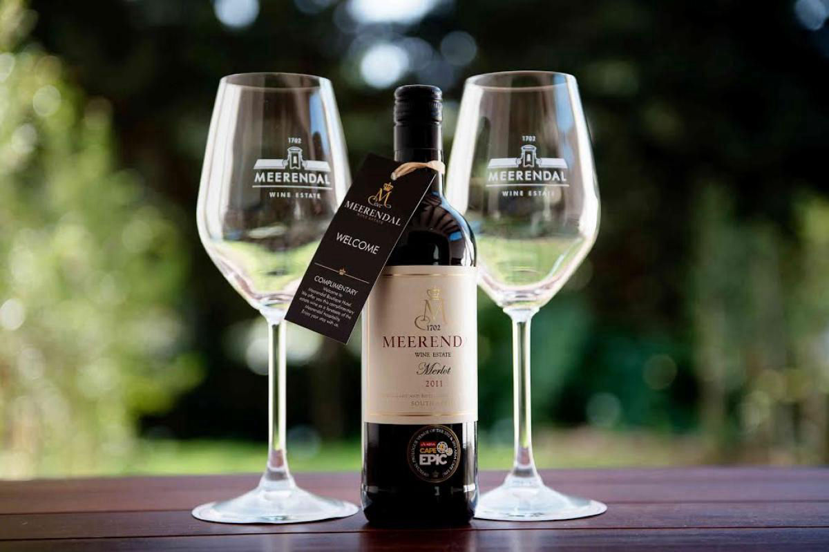 Cape Winelands photo