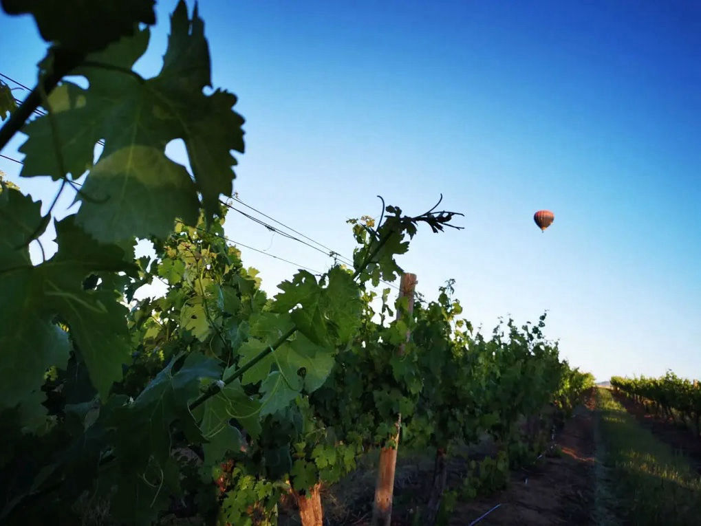 Adventure activity photo