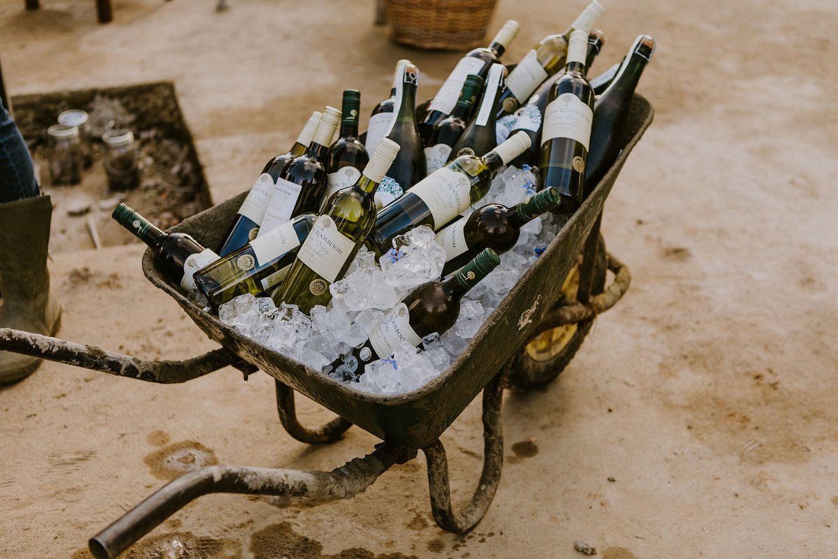 Cape Winelands photo